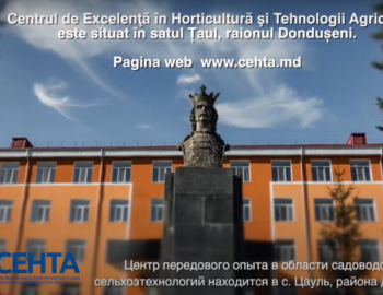 CEHTA